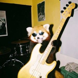 Meet your Posher, Kvnbdjsw